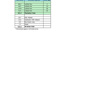 282 Morning Branch Stands summary thumbnail