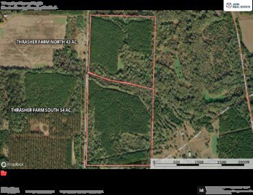 309 Thrasher Farms North 43 Ac Aerial Thumbnail