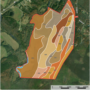 334 Besh Ward soil report 2024 thumbnail