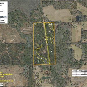 336 SADDLE HILL LAYOUT LL IMAGE geoenabled thumbnail