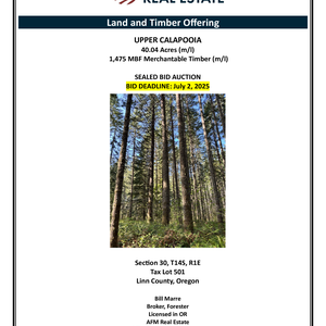 339 Prospectus Upper Calapooia 2 thumbnail