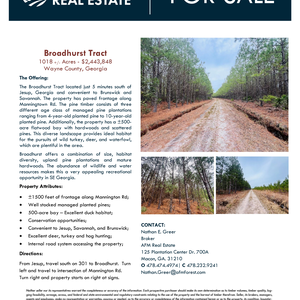 373 Broadhurst Tract Wayne County Brochure thumbnail