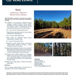 383 Flyer Koon thumbnail