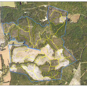 426 Bear Creek thumbnail