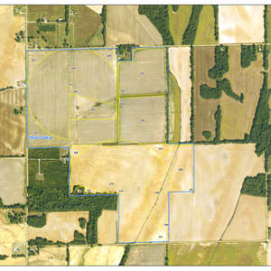 428 Marvell Farms 4 thumbnail