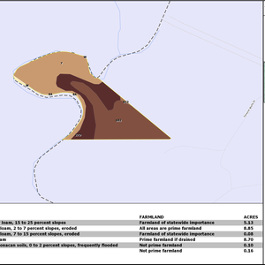454 TAMWORTH TRACT LAYOUT TL SOIL thumbnail