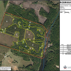 551 RODRIGUEZ TRACT LAYOUT LL IMAGE thumbnail