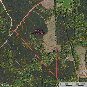 599 Fenley Forest Tract C Aerial Topo thumbnail
