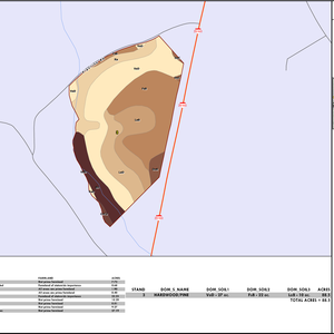 5bc8a5a932a0f WCM 113 LAYOUT TL SOIL 2023 04 05 180806 cotl thumbnail