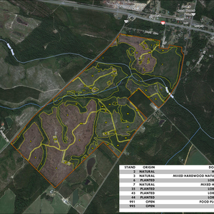 5ca75630f040f SUGAR CREEK TIMBERLANDS LAYOUT TL GE IMAGE 2022 07 31 010822 pbmj thumbnail