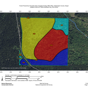 619 Site Index Map thumbnail