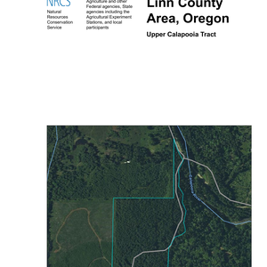 661 Upper Calapooia Soils Report thumbnail