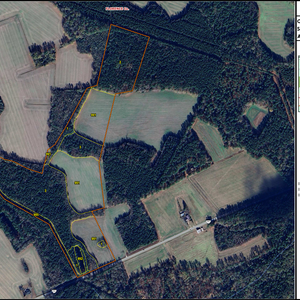 66 OLANTA FARM LAYOUT TL GE IMAGE thumbnail