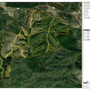 715 Image PISGAH PG1126 1 thumbnail