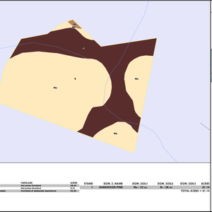 755 SUMMERS CORNER TRACT 1 LAYOUT TL SOIL thumbnail