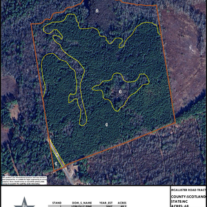 760 MCALLISTER ROAD TRACT LAYOUT LP IMAGE thumbnail