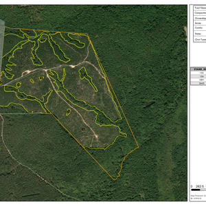795 Image NEWBERRY ML 384 100 thumbnail