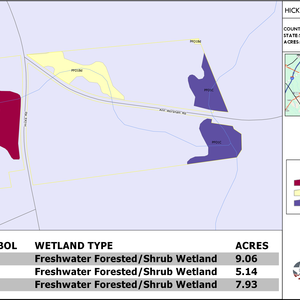 825 HICKORY BRANCH TRACT LAYOUT TL WETLAND thumbnail