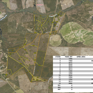 853 RED OAK FARM LAYOUT TL NAIP2023 IMAGE geoenabled thumbnail