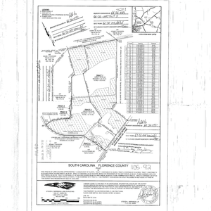 871 Olanta Farm Plat thumbnail