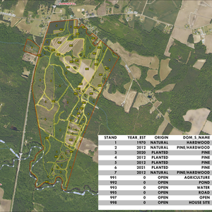 878 CRIPPLE CREEK TRACT LAYOUT TL NAIP2023 IMAGE geoenabled thumbnail