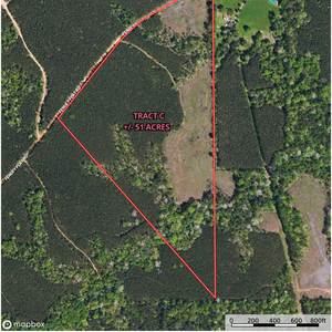 882 Fenley Forest Tract C Aerial thumbnail