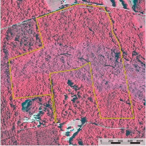 893 SHEREAU BRANCH IR thumbnail