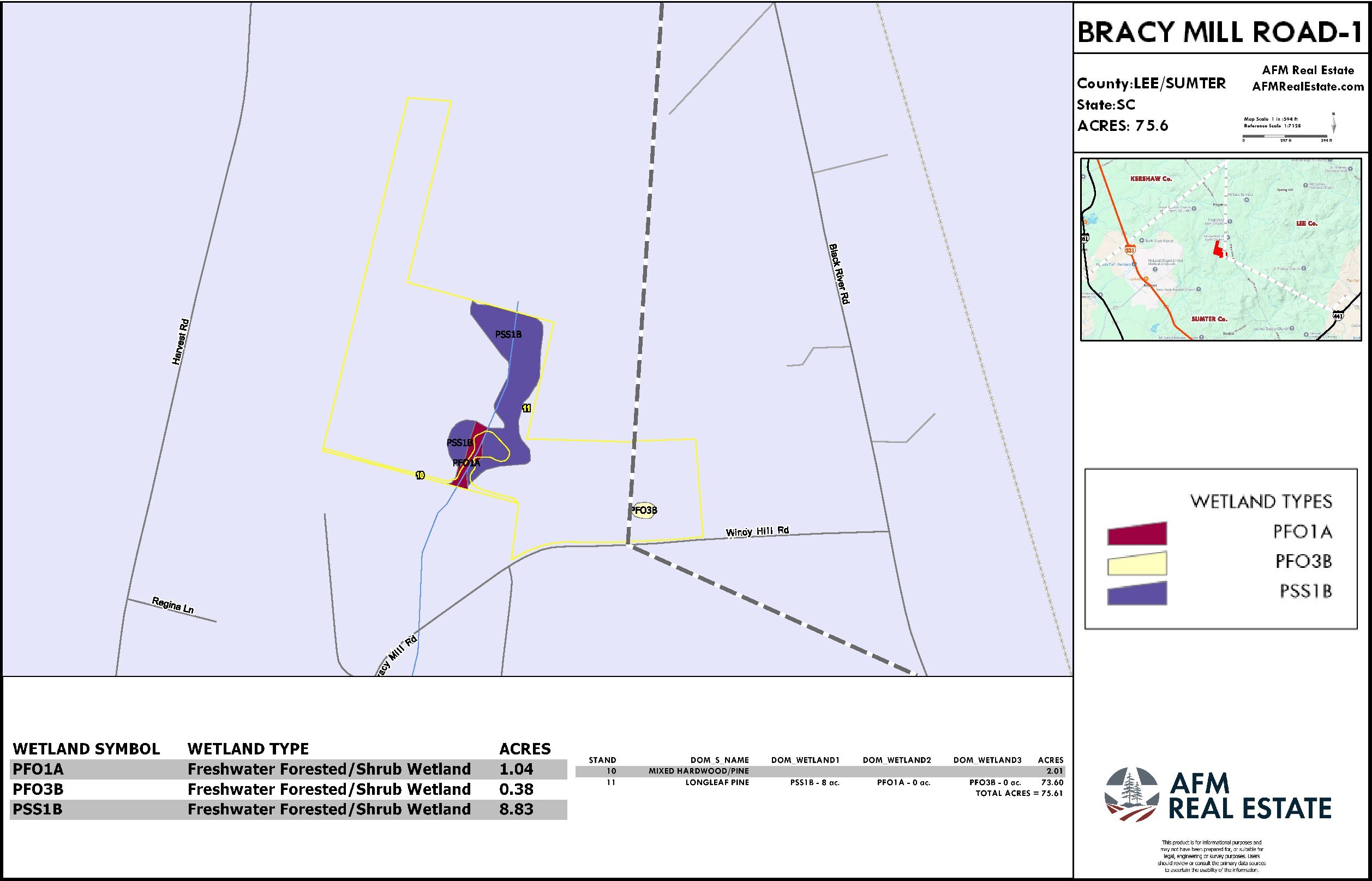 909 BRACY MILL ROAD 1 LAYOUT TL WETLAND thumbnail