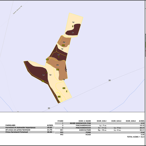 935 OLANTA FARM LAYOUT TL SOIL thumbnail