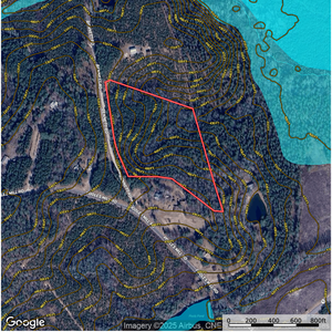 954 Topo Map thumbnail