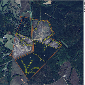 98 MCCALL FAMILY LAYOUT TL CAPELSIE EAST thumbnail