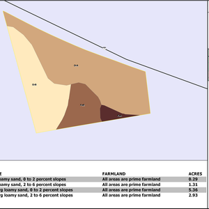 994 MAKABE FARMS SURREY RACE RD TRACT 2 LAYOUT TL SOIL thumbnail