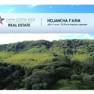 CAFM REAL ESTATE HOJANCHA 2025 08 05 010200 peyb thumbnail