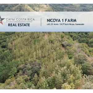 CAFM REAL ESTATE NICOYA 1 thumbnail