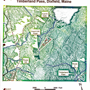 Forest Mgt Plan thumbnail
