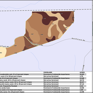 GUN O FIELD ROAD TRACT LAYOUT TL SOIL thumbnail
