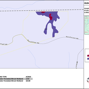 GUN O FIELD ROAD TRACT LAYOUT TL WETLAND thumbnail