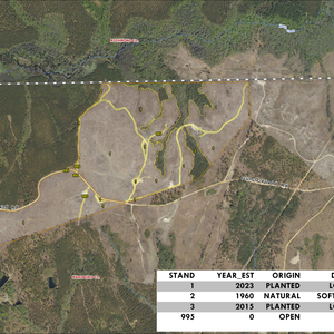 GUN O FIELD ROAD TRACT TL NAIP2023 IMAGE geoenabled thumbnail
