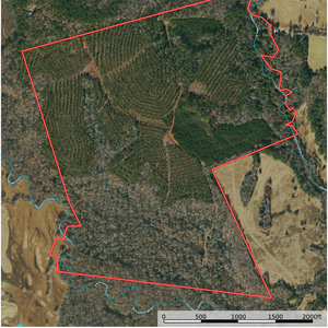 Palo Gaucho Aerial Photo thumbnail