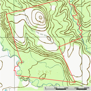 Palo Gaucho Topo thumbnail