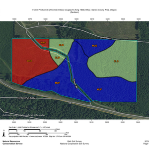 Santiam Site Index Report thumbnail