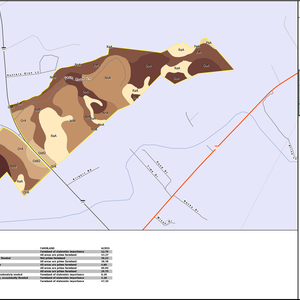 TISDALE LANEY TRACT LAYOUT TL SOIL thumbnail