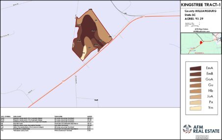 10 KINGSTREE TRACT 1 LAYOUT TL SOIL Thumbnail