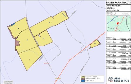 113 BAKER FARM TRACTS LAYOUT TL COLOR Thumbnail