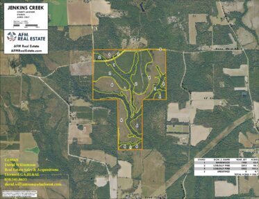 125 JENKINS CREEK LAYOUT LL IMAGE geoenabled 1 Thumbnail