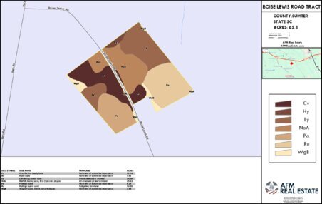 136 BOISE LEWIS ROAD TRACT LAYOUT TL SOIL Thumbnail