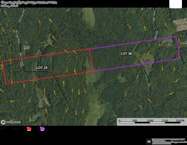 169 Greenbush Lots 24 36 Topo Map Thumbnail