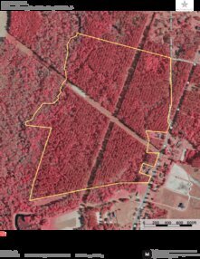 170 GARRIS HILL IR Thumbnail