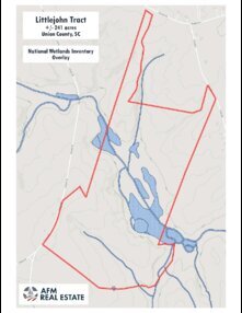 176 Map Littlejohn NWI Thumbnail