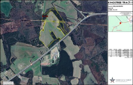 186 KINGSTREE TRACT 1 LAYOUT TL GE IMAGE Thumbnail
